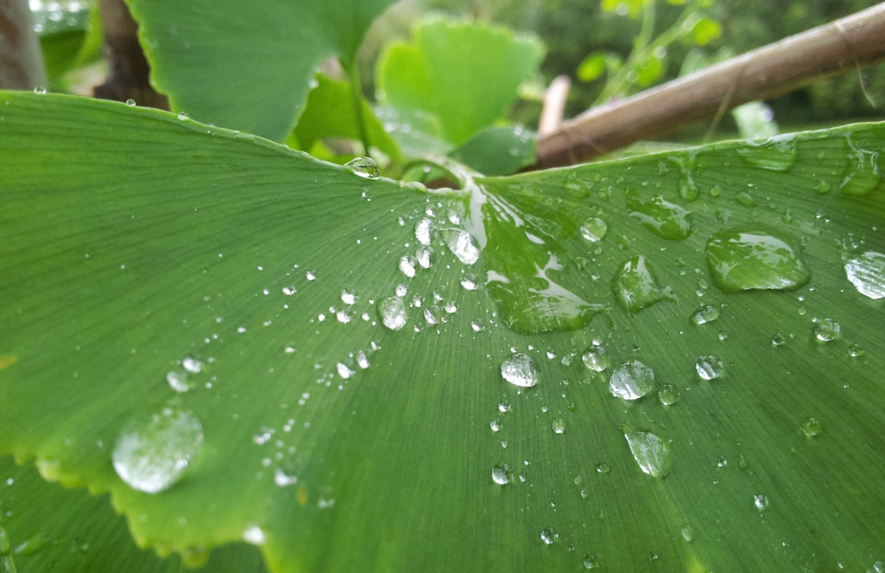 电话短信轰在线轰炸免费